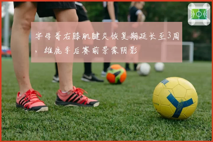 字母哥右膝肌腱炎恢复期延长至3周,雄鹿季后赛前景蒙阴影
