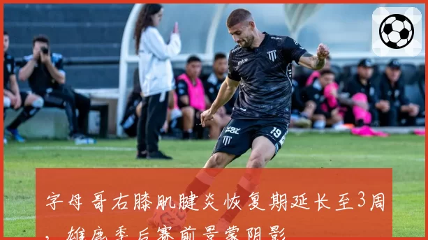 字母哥右膝肌腱炎恢复期延长至3周,雄鹿季后赛前景蒙阴影